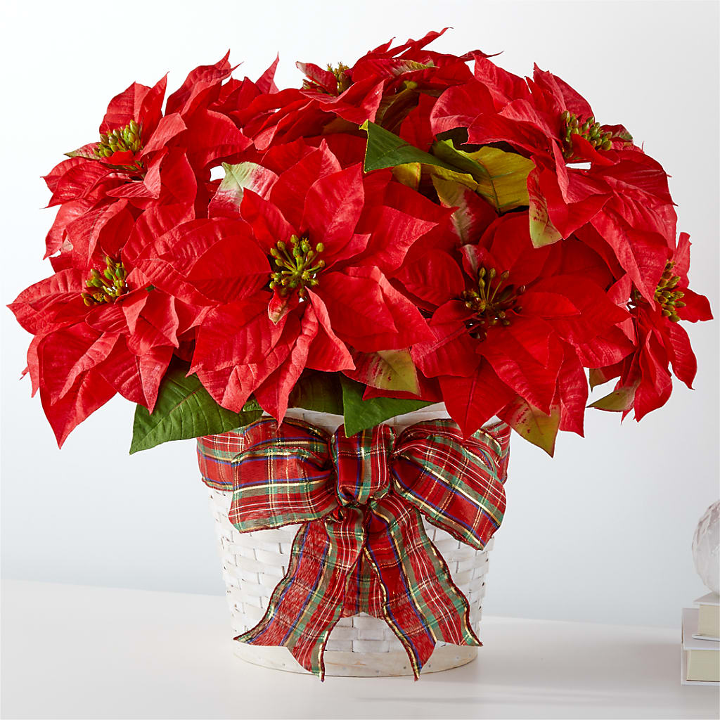 Happiest Holidays Poinsettia – Downtown Florist And Tea, Doerun GA
