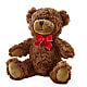 Adorable Plush Bear – Downtown Florist And Tea, Doerun GA