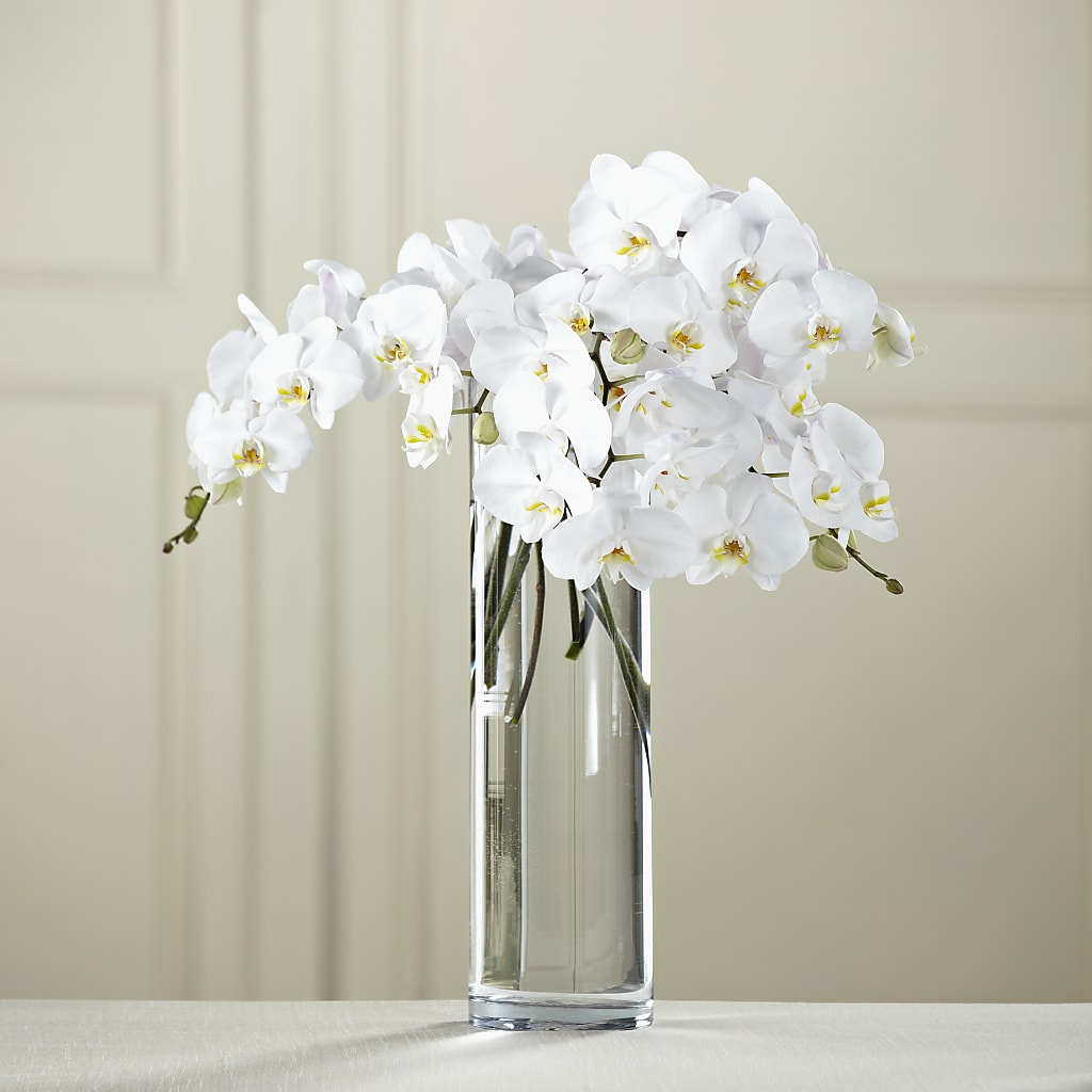 White Phalaenopsis Bouquet – Downtown Florist And Tea, Doerun GA
