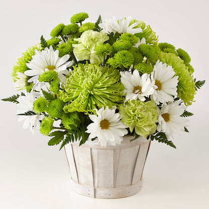 Lucky Charm Basket (Standard) –  Downtown Florist And Tea, Doerun GA
