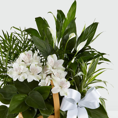 Peace & Serenity Dishgarden –  Downtown Florist And Tea, Doerun GA
