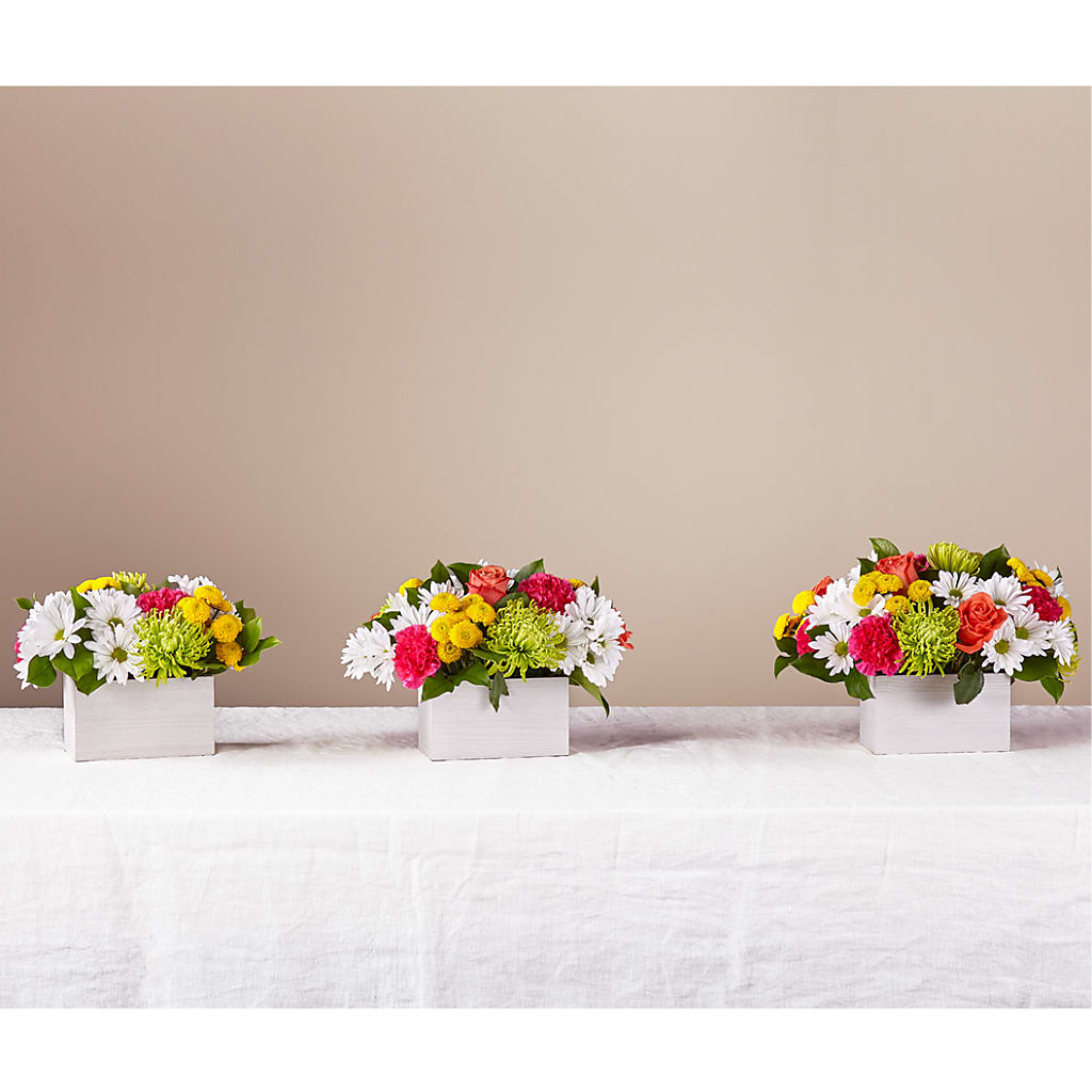 Sorbet Bouquet –  Downtown Florist And Tea, Doerun GA