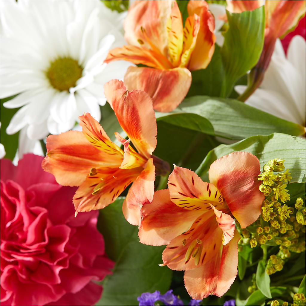 Oopsie Daisy Box Bouquet –  Downtown Florist And Tea, Doerun GA
