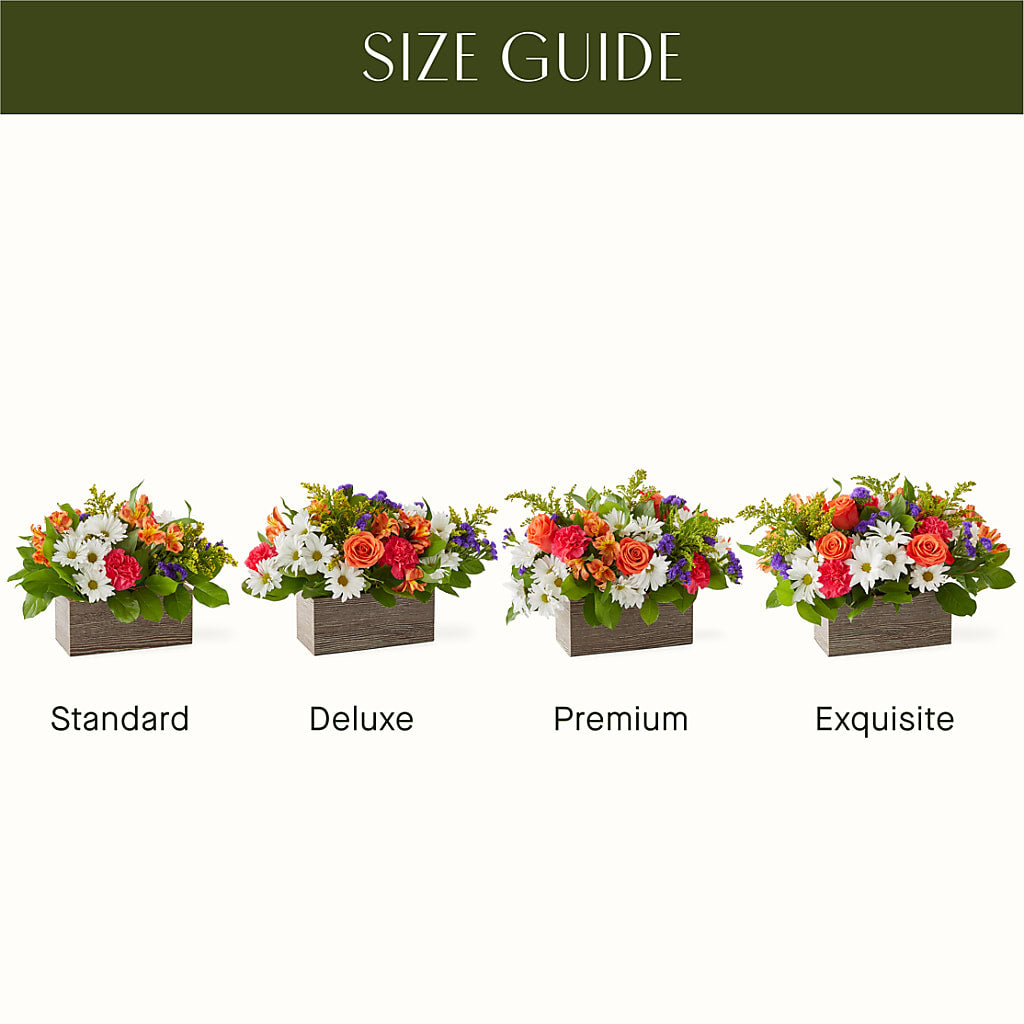 Oopsie Daisy Box Bouquet –  Downtown Florist And Tea, Doerun GA