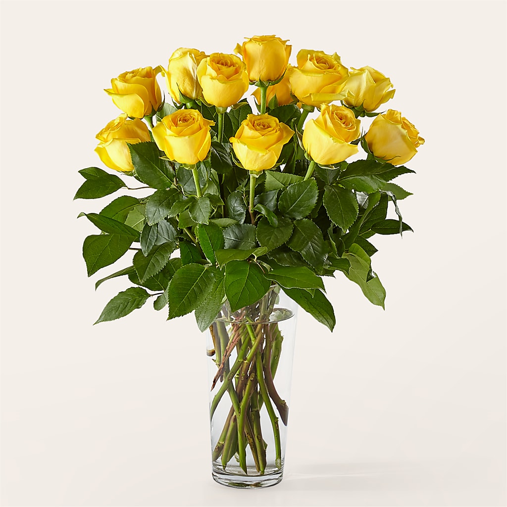 Long Stem Yellow Rose Bouquet –  Downtown Florist And Tea, Doerun GA