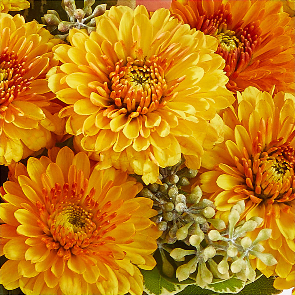 Peachy Pumpkin –  Downtown Florist And Tea, Doerun GA