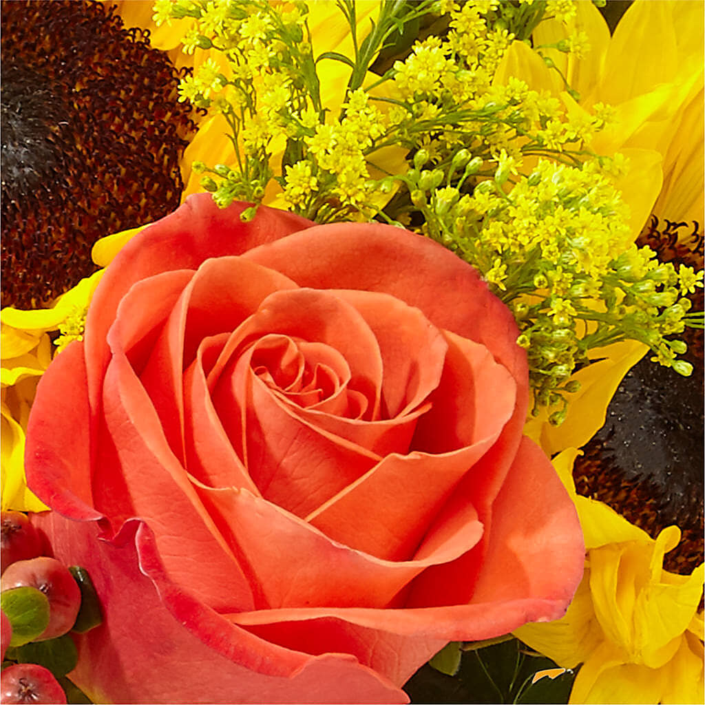 Pick of the Patch Pumpkin Bouquet –  Downtown Florist And Tea, Doerun GA