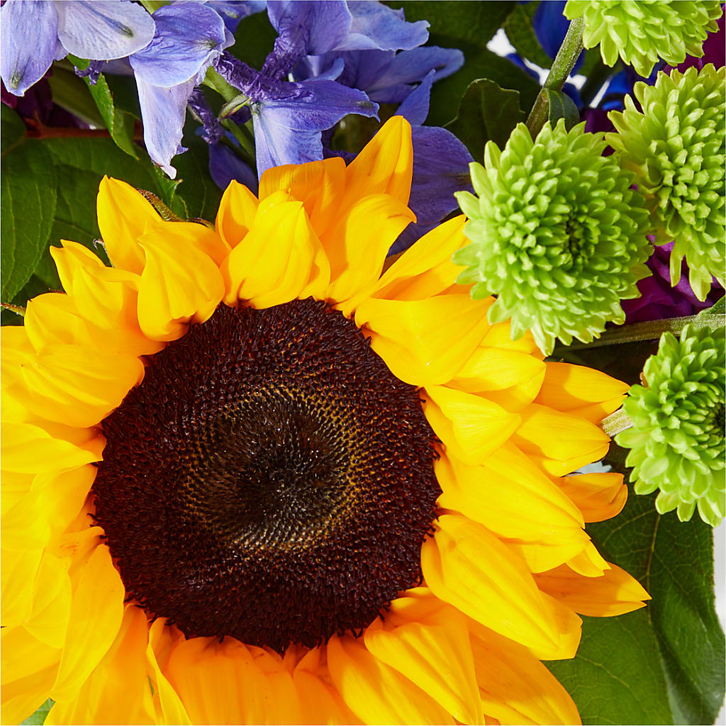 Catching Rays Bouquet –  Downtown Florist And Tea, Doerun GA