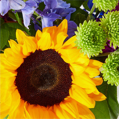 Catching Rays Bouquet –  Downtown Florist And Tea, Doerun GA