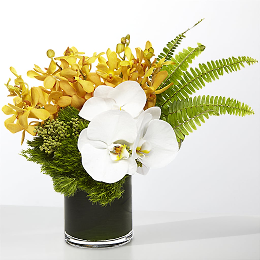 The Tropics –  Downtown Florist And Tea, Doerun GA