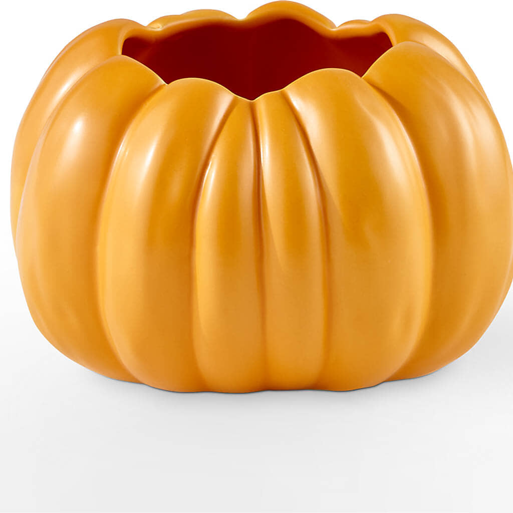 Pick of the Patch Pumpkin Bouquet –  Downtown Florist And Tea, Doerun GA