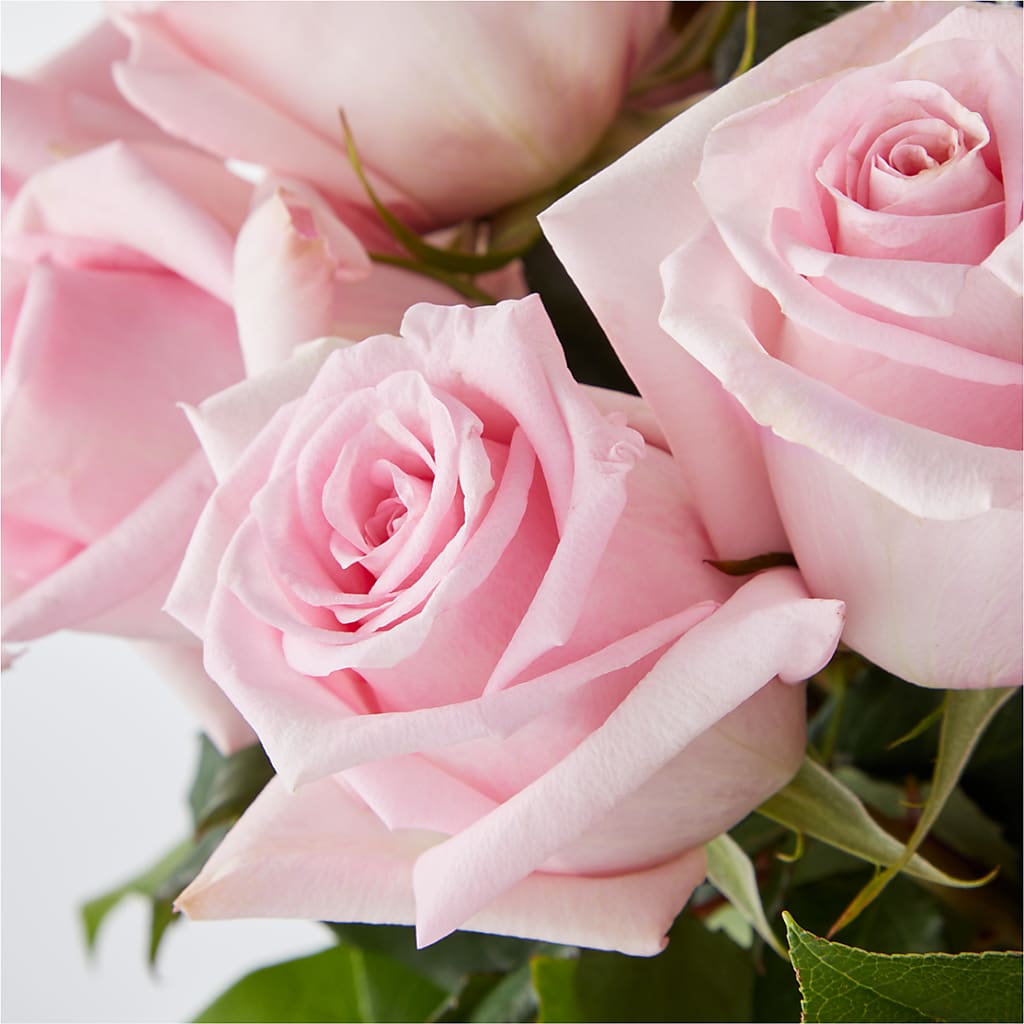 Picture Perfect Pink Rose Bouquet –  Downtown Florist And Tea, Doerun GA