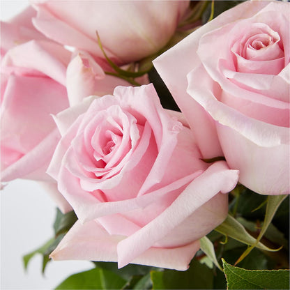 Picture Perfect Pink Rose Bouquet –  Downtown Florist And Tea, Doerun GA