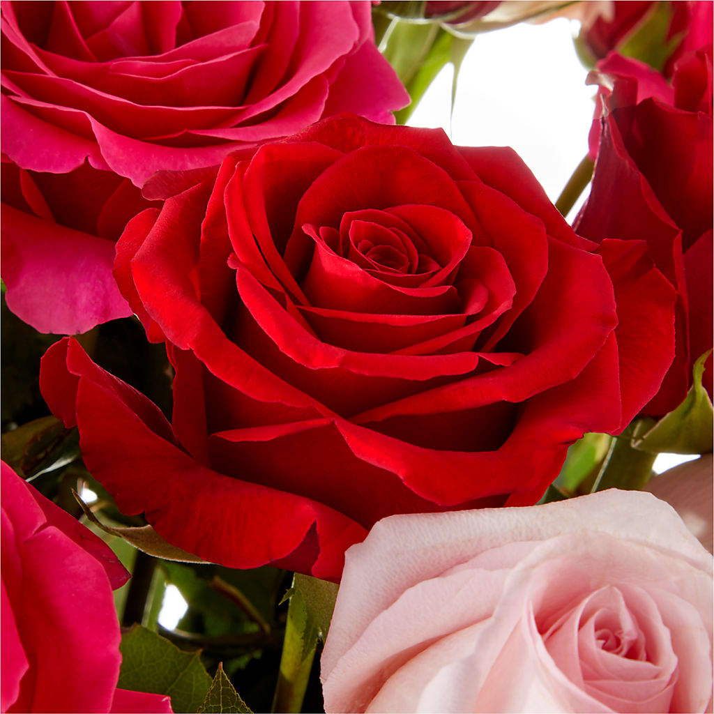 Love Notes Rose Bouquet –  Downtown Florist And Tea, Doerun GA