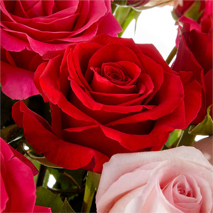Love Notes Rose Bouquet –  Downtown Florist And Tea, Doerun GA