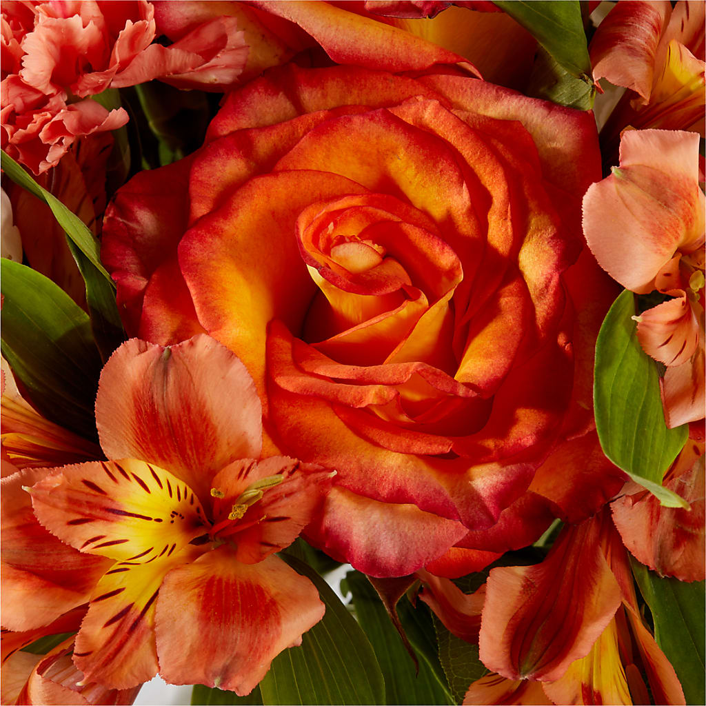 Apricot Glow Bouquet –  Downtown Florist And Tea, Doerun GA