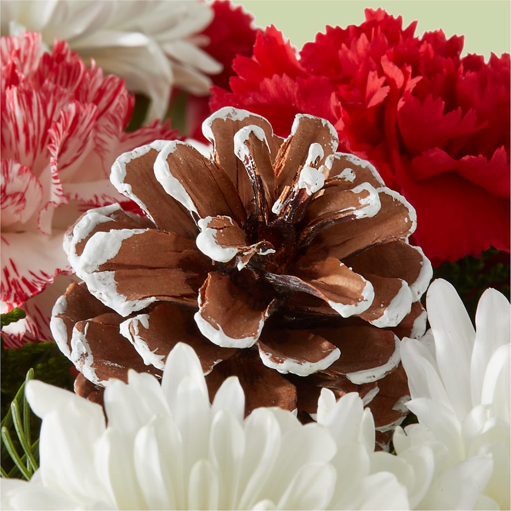 Candy Cane Lane Bouquet –  Downtown Florist And Tea, Doerun GA