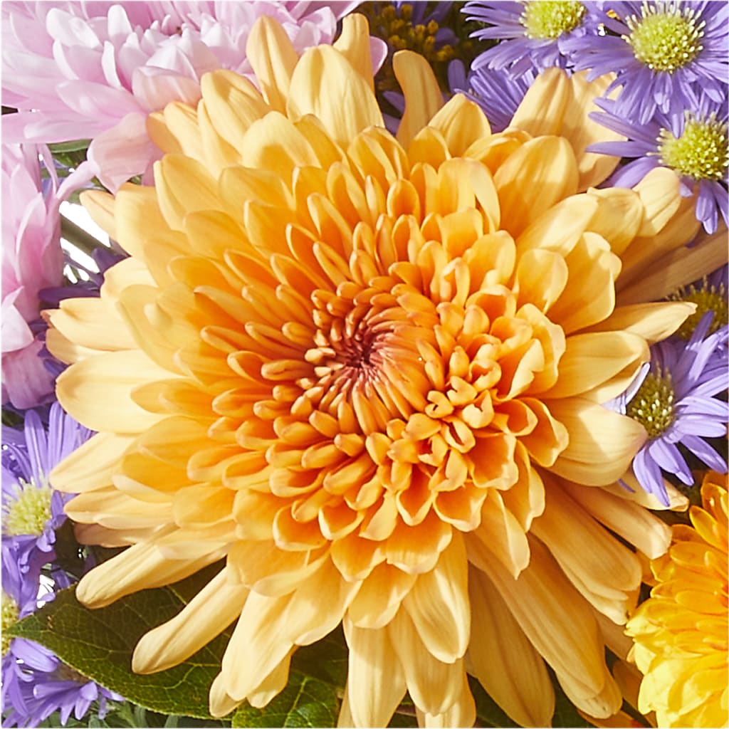 Countryside Bouquet –  Downtown Florist And Tea, Doerun GA