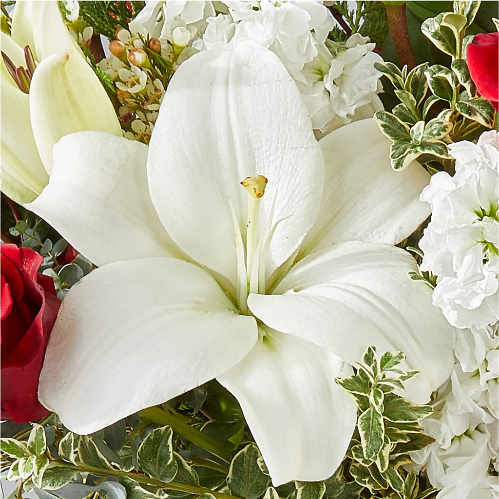 Twinkle Lights Bouquet –  Downtown Florist And Tea, Doerun GA