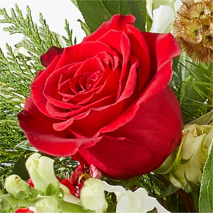 Deck the Halls Bouquet –  Downtown Florist And Tea, Doerun GA