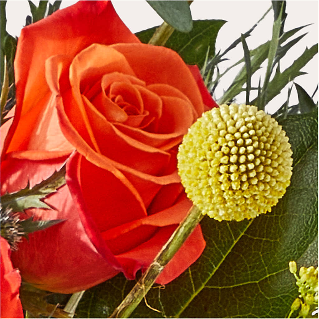 Disco Bouquet –  Downtown Florist And Tea, Doerun GA