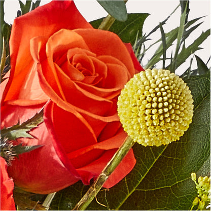 Disco Bouquet –  Downtown Florist And Tea, Doerun GA
