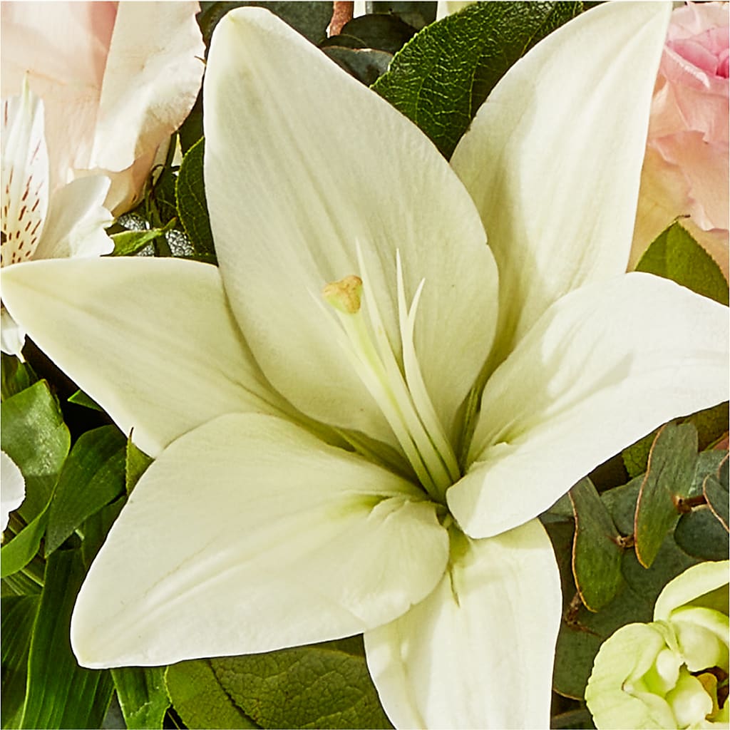 Ballet Slippers Bouquet –  Downtown Florist And Tea, Doerun GA