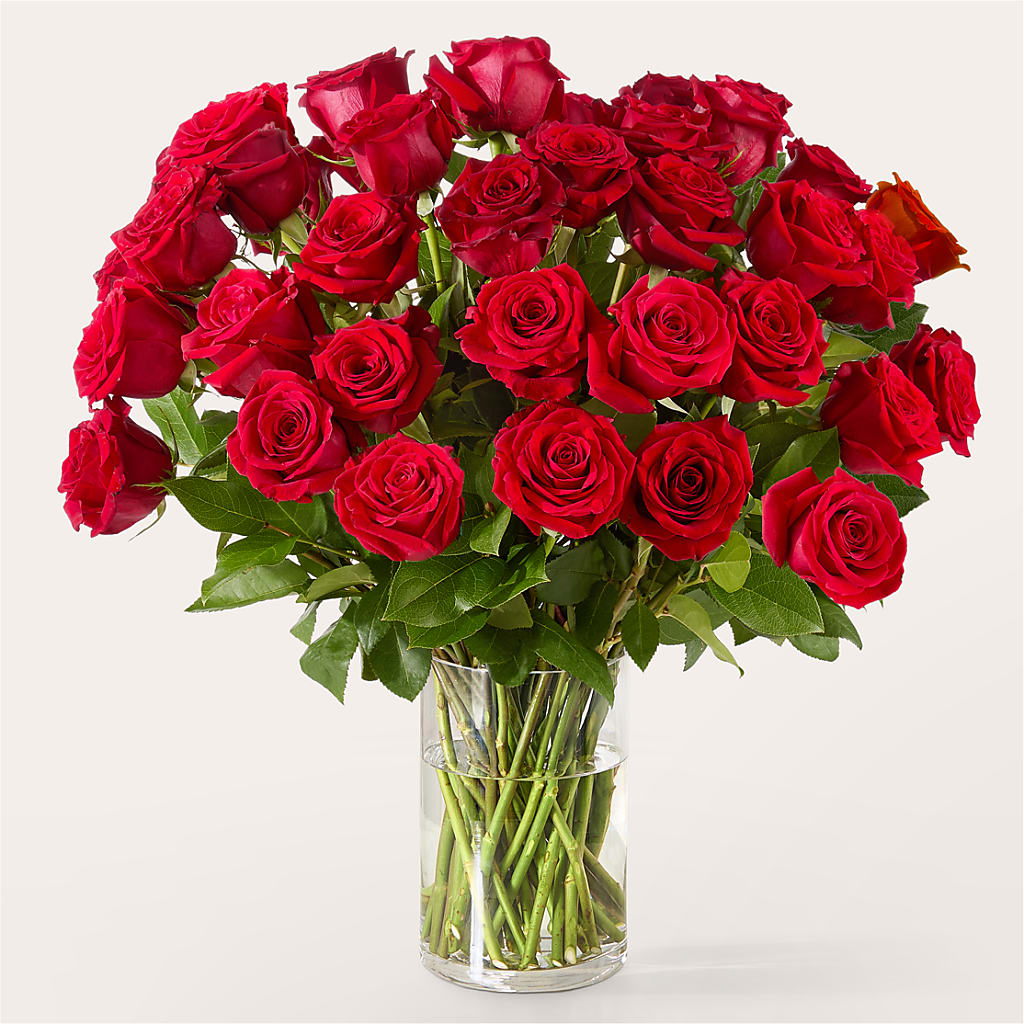 The One Red Rose Bouquet –  Downtown Florist And Tea, Doerun GA