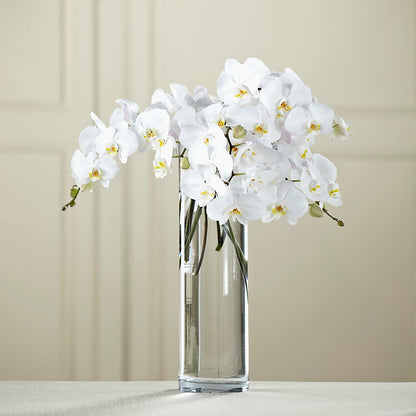 White Phalaenopsis Bouquet –  Downtown Florist And Tea, Doerun GA